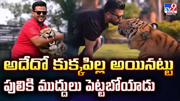 ఏంటి మావా అదేమైనా పిల్లి అనుకున్నావా.. అలా ముద్దులు పెడుతున్నావ్ ఏంటి మావా అదేమైనా పిల్లి అనుకున్నావా.. అలా ముద్దులు పెడుతున్నావ్