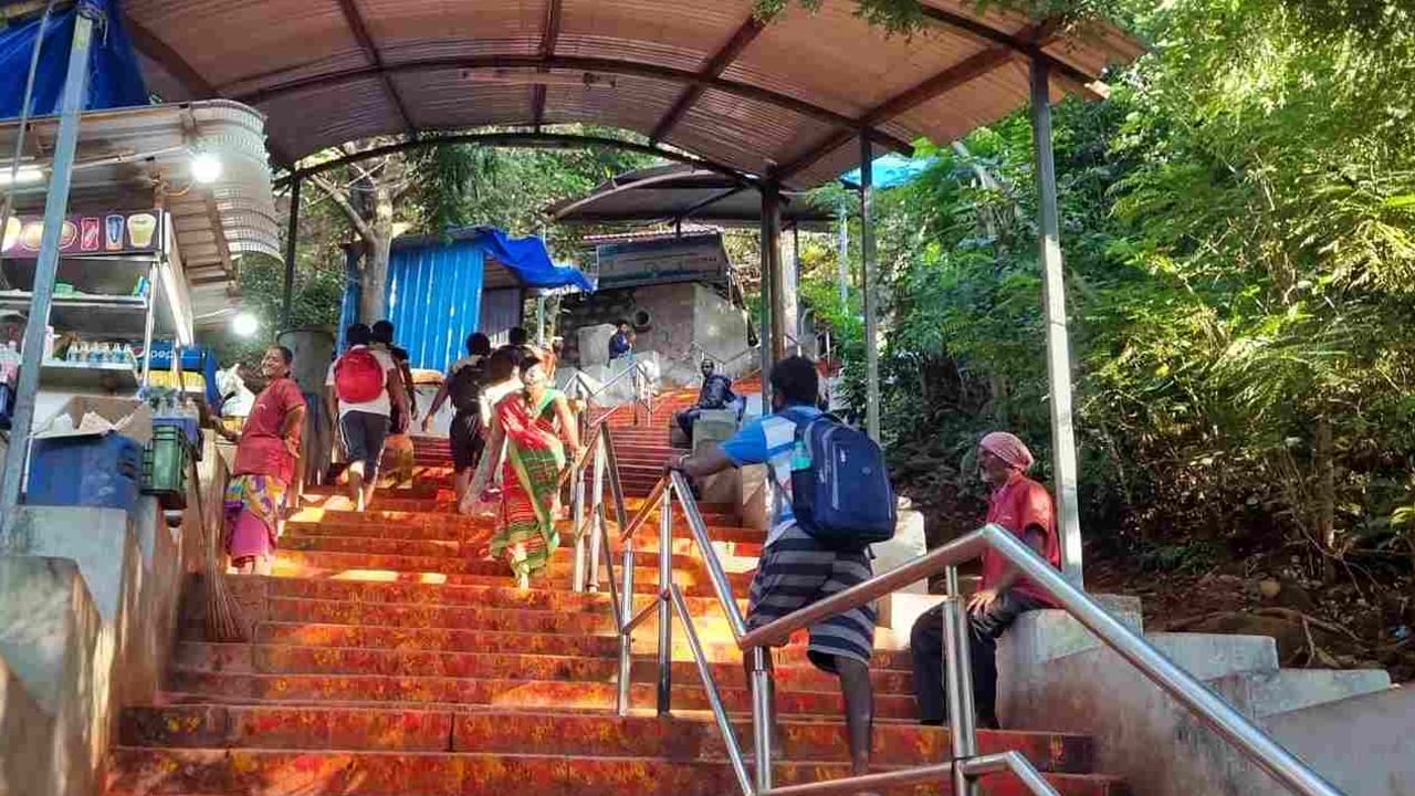 Tirupati: గోవింద నామస్మరణ చేస్తూ కాలినడకన భక్తులు.. మార్గంలో కనిపించింది చూడగా