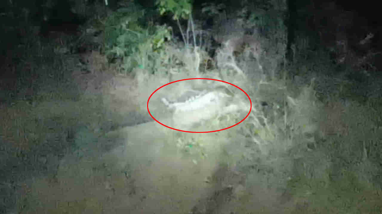 Tirupati: క్షణక్షణం.. భయం భయం..! చీకటి పడితే చాలు.. ఆ ప్రాంతం భీకర శబ్దాలు..