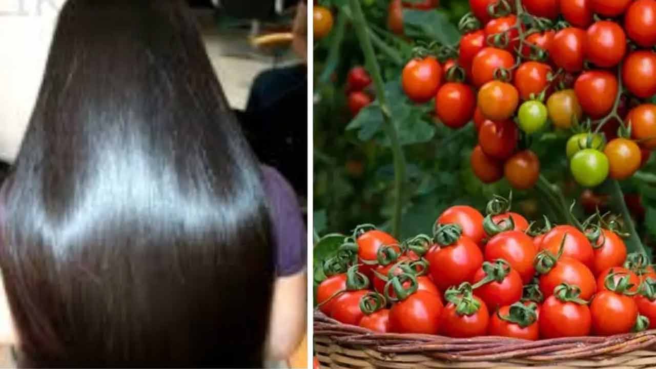 టమాటాల్లో సహజమైన ఆమ్లాలు ఉంటాయి. ఇవి మాడు పీహెచ్ బ్యాలెన్స్ నిర్వహించడానికి ఉపయోగపడతాయి. చుండ్రును తగ్గించి జుట్టు తిరిగి పెరగడానికి మేలు చేస్తాయి. టమాటా ఉపయోగించడం వల్ల ఇందులో విటమిన్ సి హెయిర్ ఫొలికల్స్‌ బలంగా మారుస్తాయి. అంతేకాదు టమాటాలు యాంటీ ఆక్సిడెంట్లు ఉంటాయి. ఫ్రీర్యాడికల్‌ డ్యామేజ్ కాకుండా కాపాడుతాయి. 
టమాటా పీహెచ్‌ స్థాయిలను అదుపులో ఉంచుతాయి. ఆక్సిడేటివ్స్ స్ట్రెస్‌ నుంచి కాపాడుతుంది. చుండ్రును తక్షణమే తగ్గించేస్తుంది.