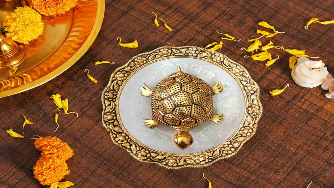 Vastu Tips: ఎంత దరిద్రంతో కొట్టుమిట్టాడుతున్నవారైనా సరే.. తాబేలు బొమ్మను ఇంట్లో ఉంచితే జరిగేది ఇదే..