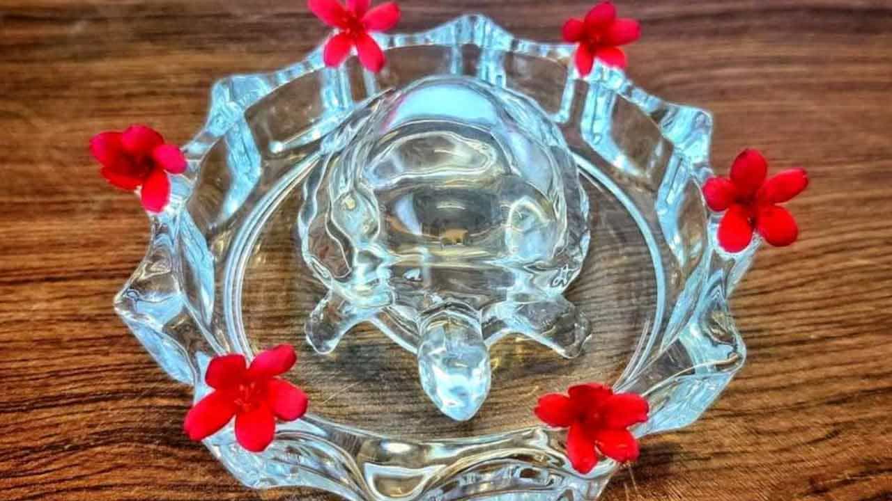 ఇంట్లో తాబేలు ప్రతిమ, విగ్రహాం ఉంచుకోవడం వల్ల అనేక ప్రయోజనాలు అందుతాయని జ్యోతిష్యా, వాస్తు శాస్త్ర నిపుణులు చెబుతున్నారు. ఈ క్రమంలోనే ఇటీవల కాలంలో చాలా మంది ఇళ్లలో తాబేలు ప్రతిమలు ఎక్కువగా పెట్టుకుంటున్నారు. అయితే, ఇది ఇంట్లో ఏ దిక్కున ఉంటే ఎలాంటి ఫలితాలనిస్తుందో తప్పని సరిగా తెలుసుకోవాలని చెబుతున్నారు.