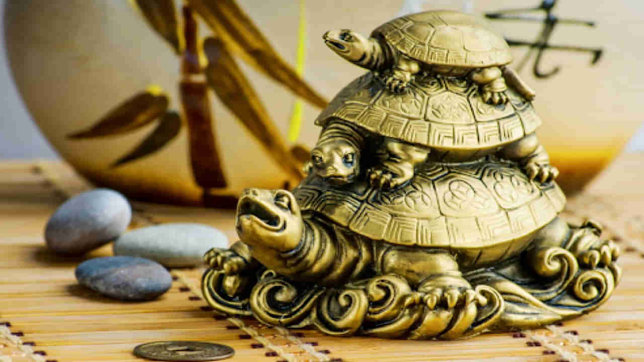 Tortoises Remedies: ఇంట్లో తాబేలును ఆ దిశలో ఉంచితే డబ్బుకు లోటు ఉండదు.. పట్టిందల్లా బంగారమే..!
