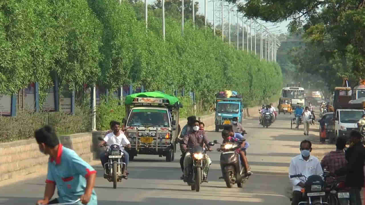 Telangana: రోడ్డు పక్కన ఉన్న ఈ చెట్లు యమ డేంజర్.. వీటి గాలిని పీల్చుకుంటే ఇక అంతే.!