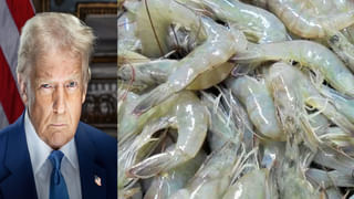 Viral: రాత్రివేళ ఇంట్లోకి సడెన్ ఎంట్రీ ఇచ్చి అనుకోని అతిథి.. తెల్లారి లేచి చూడగానే..