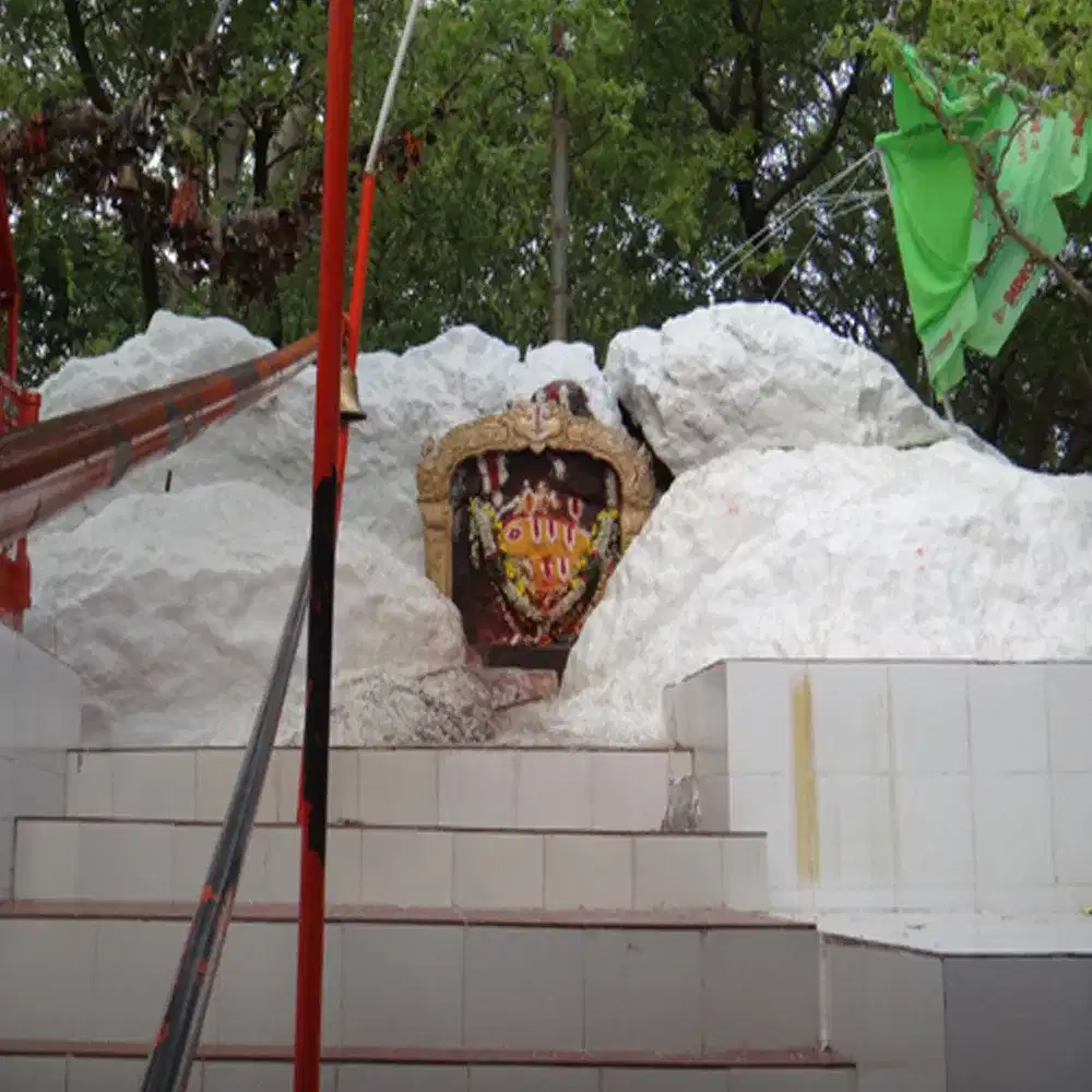 స్థల పురాణం ప్రకారం సుమారు 600 సంవత్సరాల క్రితం ఒక మహర్షి తపస్సు చేయగా ఆయన కలలో స్వామి వారు కనిపించి ఏమి కావాలని కోరగా అప్పుడు మహర్షి ఇక్కడే కొలువై ఎలాంటి ఆపదలు రాకుండా కాపాడాలని కోరారట. దీంతో స్వామి వారు ఒక బండరాయి లో వెలిసినట్లు శాసనాలు ద్వారా తెలుస్తోంది. ఇక్కడ స్వామి వారు బయటే ఉంటారు. ఎలాంటి మందిరం కాని గోపురం కానీ ఉండదు.