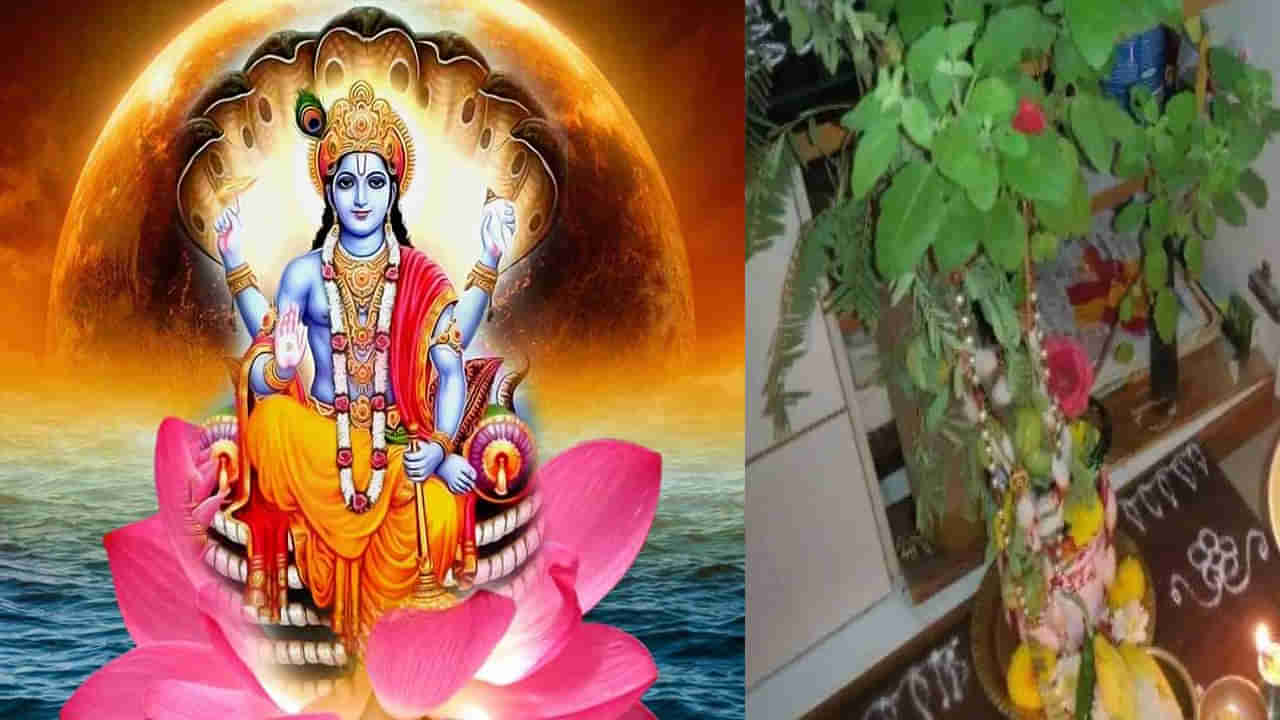 Varuthini Ekadashi 2025: వరూధుని ఏకాదశి రోజున తులసితో ఈ పరిహారాలు చేయండి.. పెండింగ్ పనులు పూర్తి అవుతాయి..