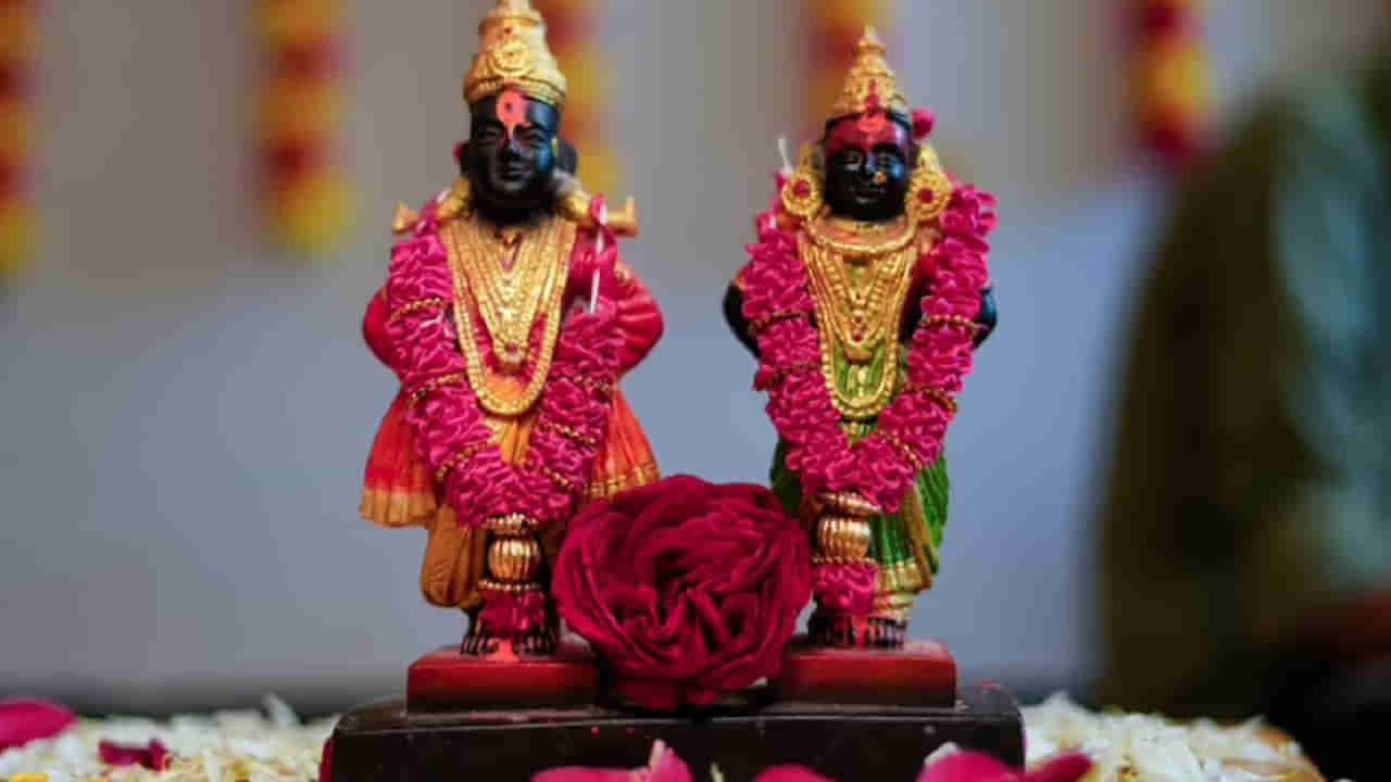 Varuthini Ekadashi: వరూథిని ఏకాదశి ప్రాముఖ్యత? వరాహ అవతారాన్ని ఎందుకు పూజిస్తారో తెలుసా..