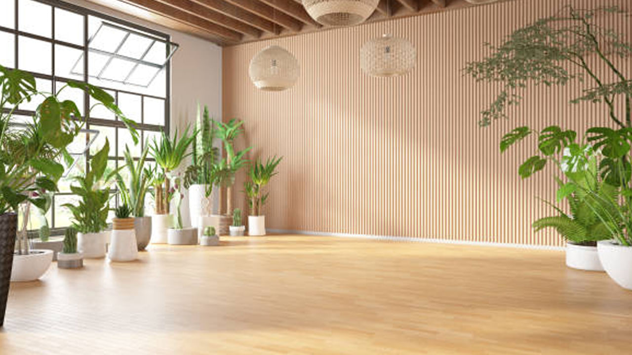 ఉత్తర దిశ: ఉత్తర దిశ వృద్ధి , శ్రేయస్సును సూచిస్తుంది. ఈ దిశలో వెదురు వేగంగా పెరగడం జీవితంలో పైకి ఎదిగేందుకు, విజయంతో ముడిపడి ఉంటుందని.. సంపద, శాంతి, ఆనందాన్ని ఆకర్షిస్తుందని చెబుతారు. కెరీర్ వృద్ధి , విజయానికి శక్తినివ్వడానికి ఆఫీసులో లేదా ఇంటి ఉత్తర దిశలో వెదురు మొక్కను ఉంచండి.
