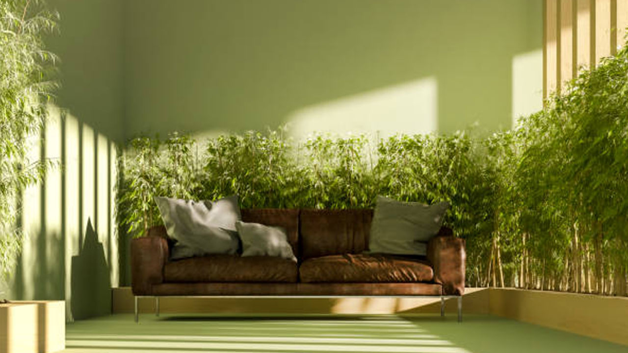 ఈశాన్య దిశ: వాస్తు శాస్త్రంలో ఈశాన్య దిశ మంచి ఆరోగ్యాన్ని సూచిస్తుంది. మొక్కను ఈశాన్య దిశలో ఉంచడం వల్ల శారీరక, మానసిక ఆరోగ్యం రెండూ మెరుగుపడతాయి. వెదురును ఒక గాజు పాత్రలో చిన్న తెల్లటి గులకరాళ్ళు.. నీటితో ఉంచండి. ఇలా చేయడం వలన మానసిక ప్రశాంతతను పెంచుతుంది.