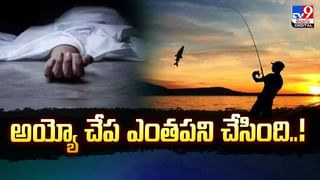 ఫై ఓవర్‌ నుంచి ఊడిపడ్డ కాంక్రీట్‌ బీమ్‌ ..కారులోకి చొచ్చుకెళ్లి బీభత్సం.. వీడియో