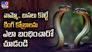 పెళ్లి పీటలపై వధువు స్థానంలో ఆమె తల్లి..షాకైన పెళ్లికొడుకు తర్వాత..వీడియో