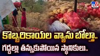 ఆ గంధపు చెక్కలను ఎక్కడ నుంచి తెస్తారో తెలుసా? వీడియో