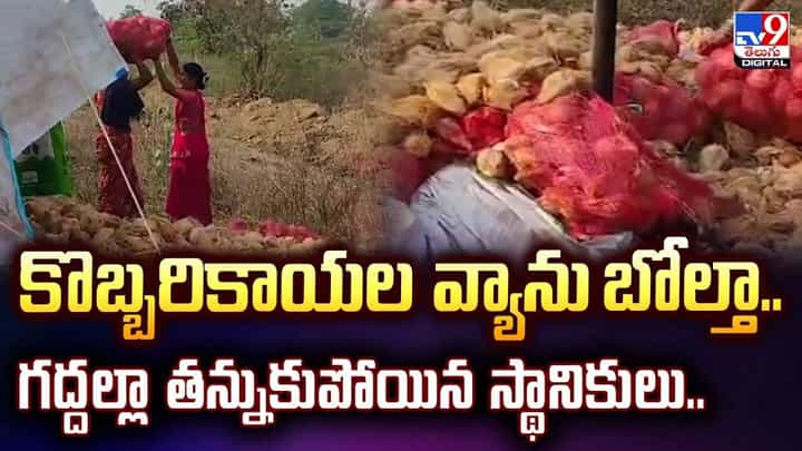 కొబ్బరి కాయల వ్యాను బోల్తా.. అక్కడి స్థానికులు ఏం చేశారంటే? వీడియో కొబ్బరి కాయల వ్యాను బోల్తా.. అక్కడి స్థానికులు ఏం చేశారంటే? వీడియో