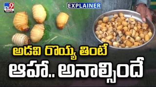 మార్కెట్లోకి కల్తీ పుచ్చకాయలు.. గుర్తించడం ఎలా?
