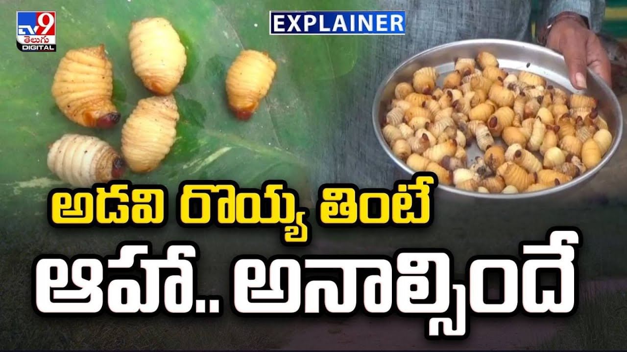 అడవి రొయ్య తింటే.. ఆహా అనాల్సిందే వీడియో