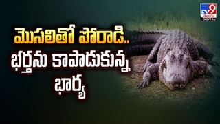 కనీ..వీనీ ఎరుగని వివాహం.. సహపంక్తి భోజనాలు కూడా వీడియో
