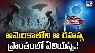 సీఈవో కుటుంబాన్ని నట్టేట ముంచిన నట్టు.. వీడియో