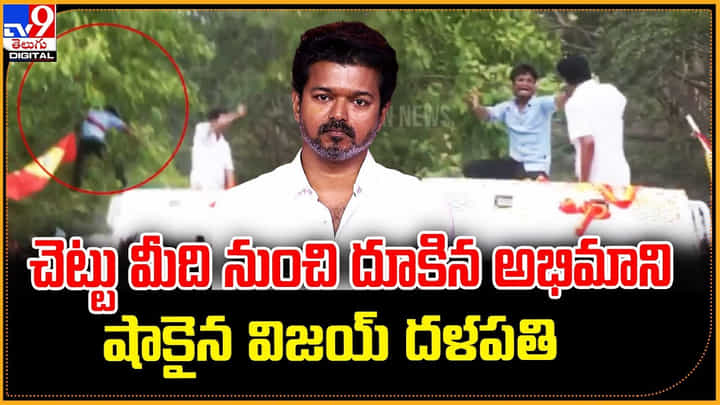 చెట్టు మీది నుంచి దూకిన అభిమాని.. షాకైన విజయ్ దళపతి చెట్టు మీది నుంచి దూకిన అభిమాని.. షాకైన విజయ్ దళపతి