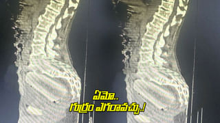 Elon Musk: ఎలాన్ మస్క్ ప్రేమ విత్తనాలు అందుకేనా?.. పెద్ద ప్లానింగే.. వెలుగులోకి షాకింగ్ నిజాలు..