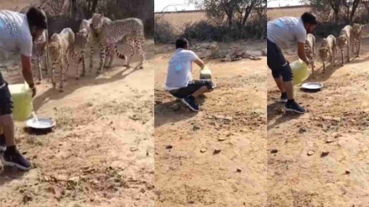 Viral video:  చీతాలకు నీటి సాయం చేశాడని అధికారులు ఏం చేశారో చూడండి!