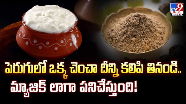 పెరుగులో ఒక్క చెంచా దీన్ని కలిపి తినండి.. మ్యాజిక్ లాగా పనిచేస్తుంది! పెరుగులో ఒక్క చెంచా దీన్ని కలిపి తినండి.. మ్యాజిక్ లాగా పనిచేస్తుంది!