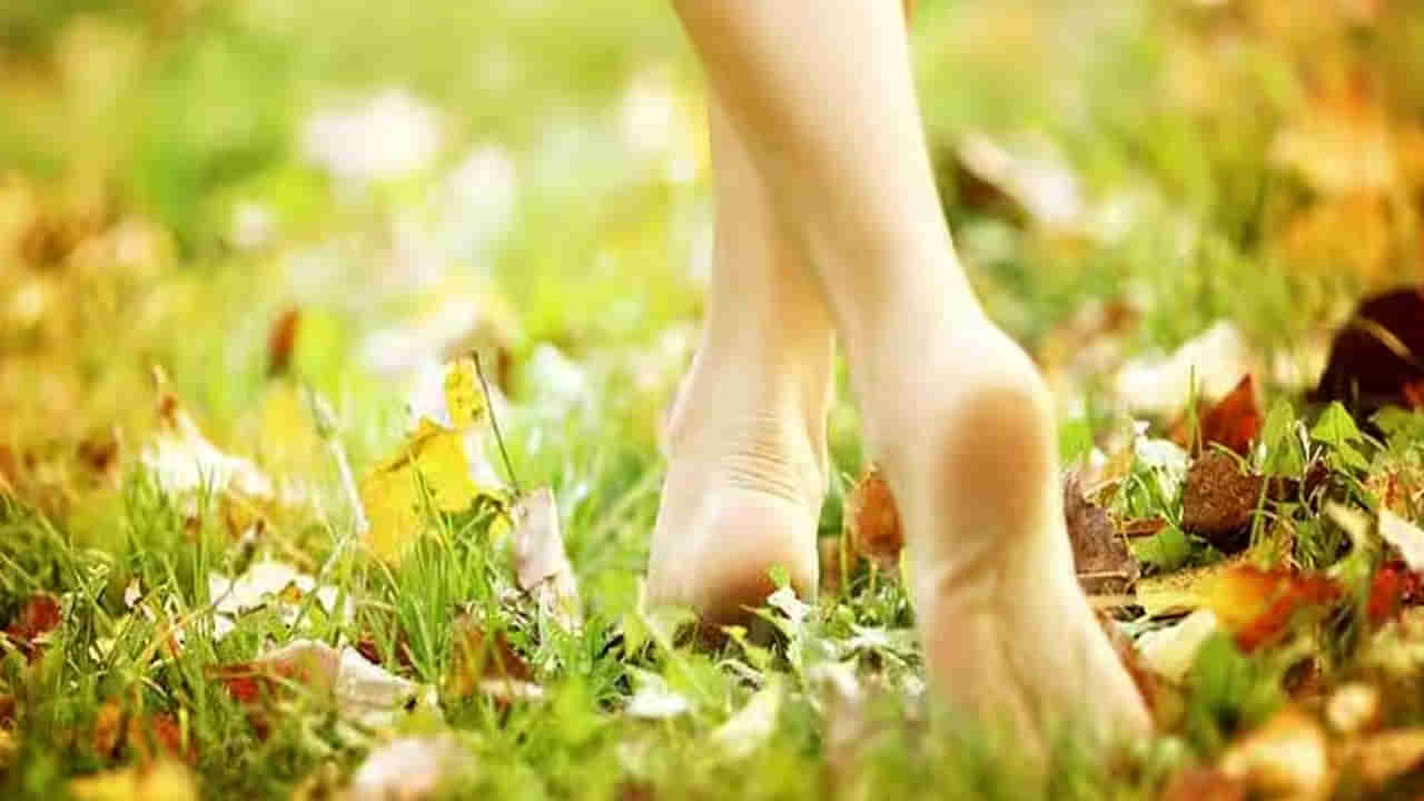 Walking Barefoot: చెప్పులు లేకుండా గడ్డి మీద నడిస్తే మానసికంగా, శారీరకంగా ఎన్ని ఆరోగ్య ప్రయోజనాలో తెలుసా..