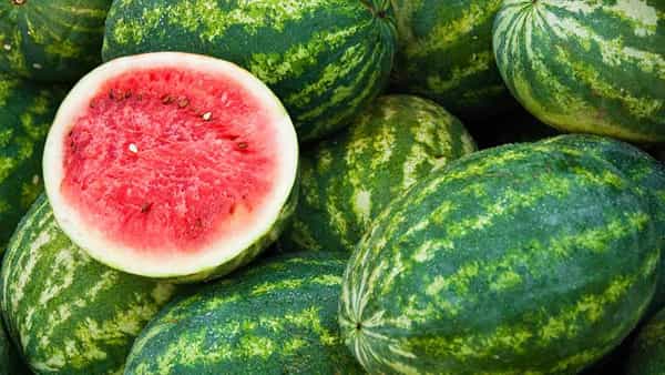 Diabetes : డయాబెటిస్ ఉన్నవారు పుచ్చకాయ తినొచ్చా..? నిపుణులు ఏం చెబుతున్నారంటే..