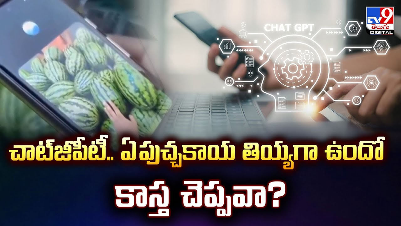 చాట్‌జీపీటీ.. ఏ పుచ్చకాయ తియ్యగా ఉందో కాస్త చెప్పవా ??