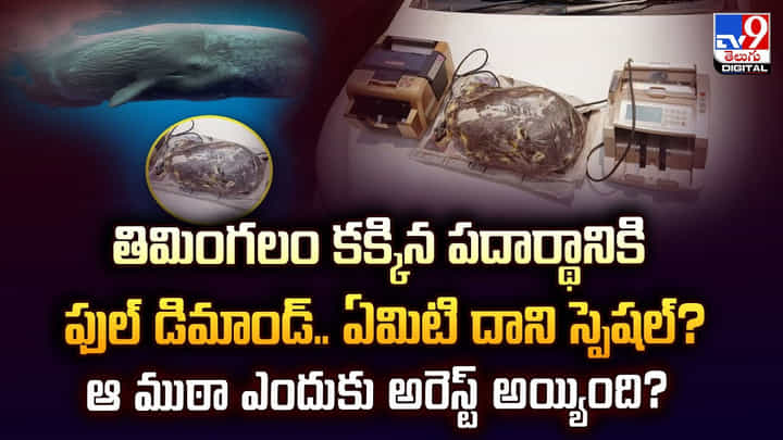 తిమింగలం కక్కిన పదార్థానికి.. ఫుల్ డిమాండ్.. ఏమిటి దాని స్పెషల్ ?? తిమింగలం కక్కిన పదార్థానికి.. ఫుల్ డిమాండ్.. ఏమిటి దాని స్పెషల్ ??