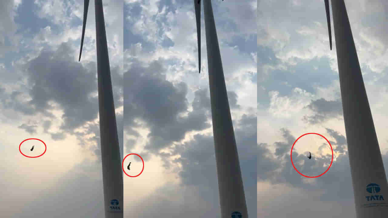 Andhra: గాలి మర నుంచి జారి 300 అడుగుల ఎత్తులో తలకిందులుగా ఉద్యోగి.. చివరకు..