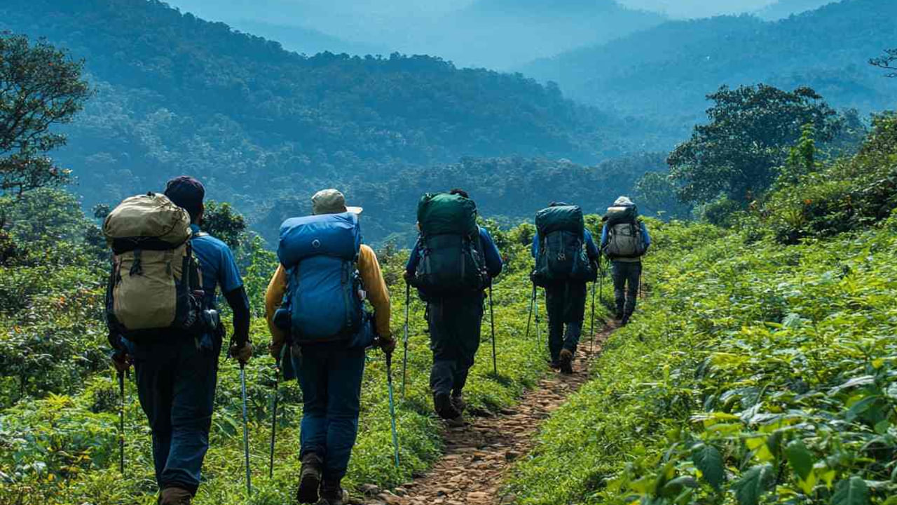 చెన్నై నుంచి 220 కిలోమీటర్ల దూరంలో ఉన్న ఏలగిరి కొండలు తమిళనాడులోని ప్రత్యేక స్థానాన్ని అందుకున్నాయి. ఈ హిల్ స్టేషన్ సముద్ర మట్టానికి 1,410 మీటర్ల ఎత్తులో ఉంది. ఏ సీజన్ అయినా ఆహ్లాదకరమైన వాతావరణ పరిస్థితులను అందిస్తుంది. ఈ ప్రాంతం స్వామిమలై, పుంగనూర్ సరస్సు వంటి విశ్రాంతి ప్రదేశాలతో పాటు పారాగ్లైడింగ్,  హైకింగ్, ఫ్లైయింగ్ చేయడానికి బెస్ట్ ఆప్షన్. వేసవి టూర్ కోసం ఇది మంచి ఎంపిక.