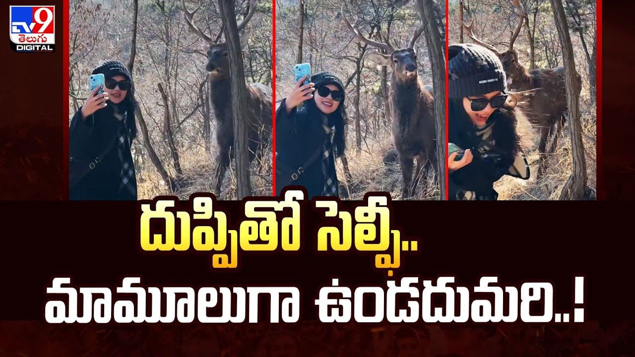 దుప్పితో సెల్ఫీ.. మామూలుగా ఉండదుమరి వీడియో