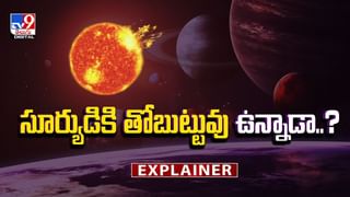 క్రమం తప్పకుండా స్కూలుకి వస్తూ.. కొండముచ్చు ఏం చేస్తుందో చూడండి