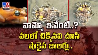 దుప్పితో సెల్ఫీ.. మామూలుగా ఉండదుమరి వీడియో