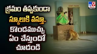 సూర్యుడికి సోదరుడు ఉన్నాడా..?వీడియో