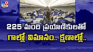 ప్లేటు నిండా రొయ్యల కర్రీ..తినాలంటే వర్రీ వీడియో