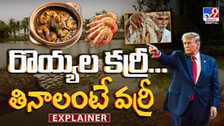 మంది ప్రయాణికులతో గాల్లో విమానం.. క్షణాల్లో..వీడియో