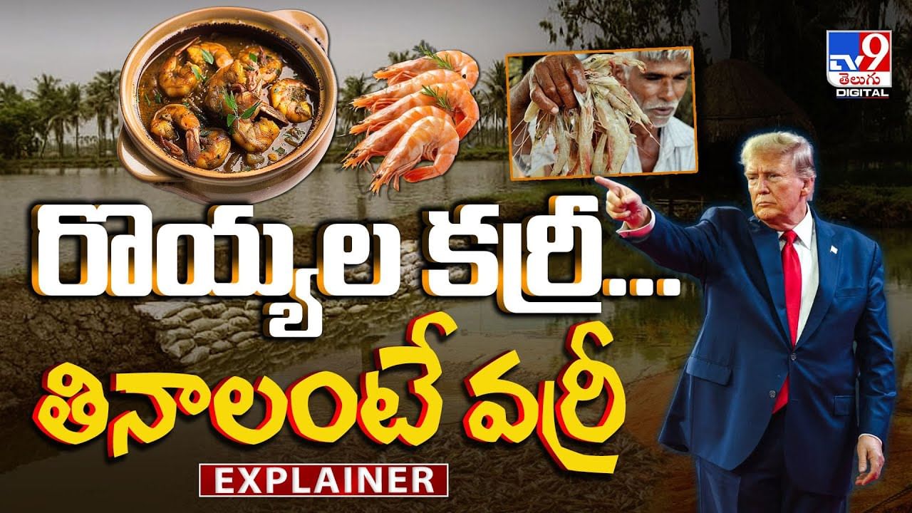 ప్లేటు నిండా రొయ్యల కర్రీ..తినాలంటే వర్రీ వీడియో