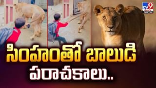 భూదేవి చెప్పిందంటూ.. సజీవ సమాధికి యత్నించిన వ్యక్తి చివరికి వీడియో