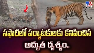 భూదేవి చెప్పిందంటూ.. సజీవ సమాధికి యత్నించిన వ్యక్తి చివరికి వీడియో