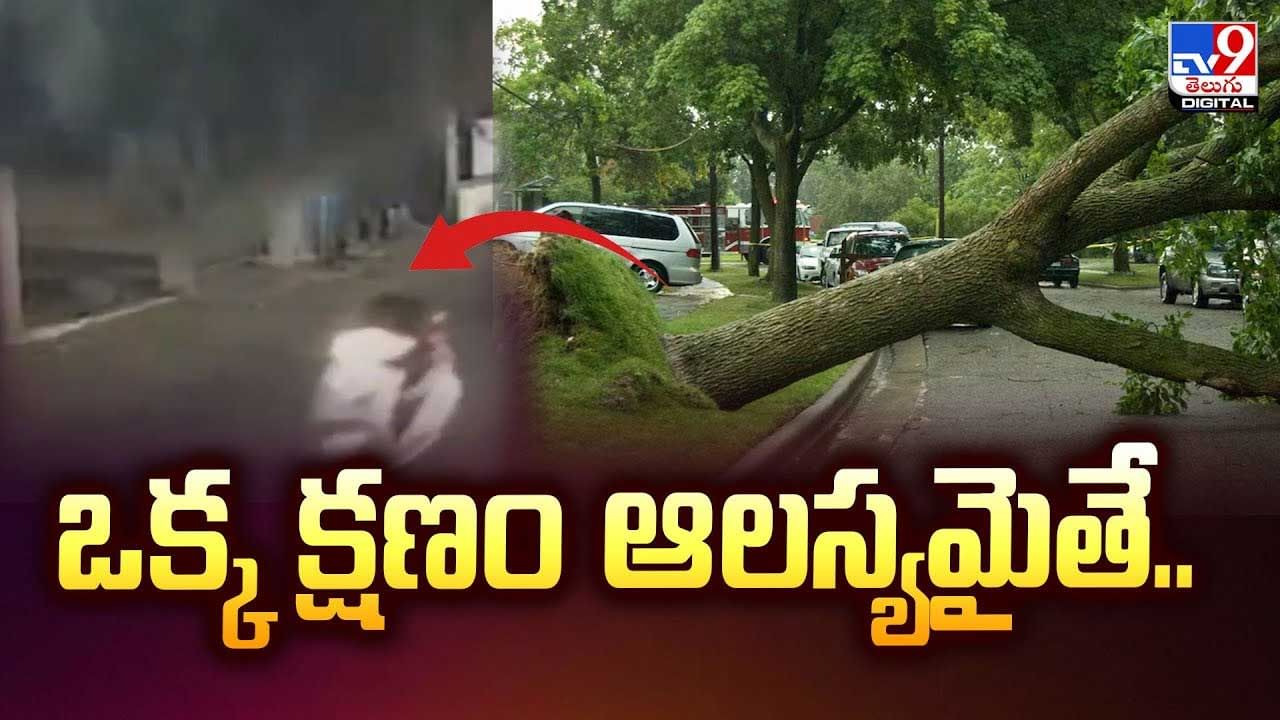 ఒక్క క్షణం ఆలస్యమైతే అంతే.. వీడియో