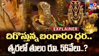 రతన్ టాటా సంపద ఎవరికి చెందుతుంది? వీలునామాలో ఏం రాశారు?