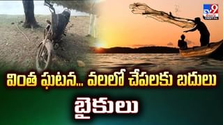 ఓర్నాయనో..అవి మునక్కాయలా..పొట్లకాయలా..వీడియో