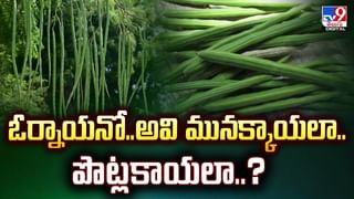 వింత ఘటన… వలలో చేపలకు బదులు బైకులు వీడియో