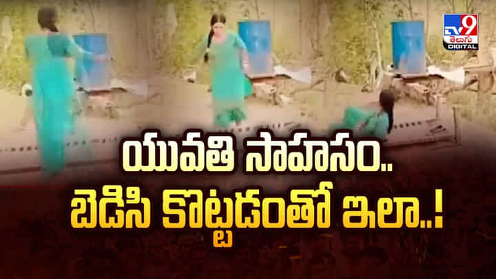 యువతి సాహసం.. బెడిసి కొట్టడంతో ఇలా..!వీడియో యువతి సాహసం.. బెడిసి కొట్టడంతో ఇలా..!వీడియో