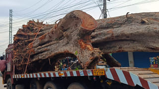 Andhra Rains: వాయుగుండంగా బలపడనున్న అల్పపీడనం.. ఏపీకి భారీ వర్షసూచన