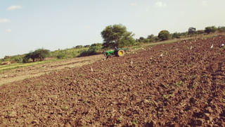 Nellore District: పెన్నా నది వద్దకు వెళ్లిన స్థానికులు.. కనిపించింది చూసి సంభ్రమాశ్చర్యం