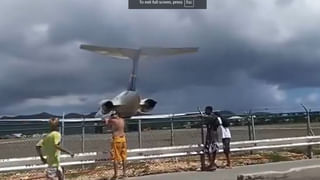 Viral Video: కుక్క దెబ్బకు తోకముడిచిన మొసలి… వైరల్‌ అవుతోన్న షాకింగ్‌ వీడియో