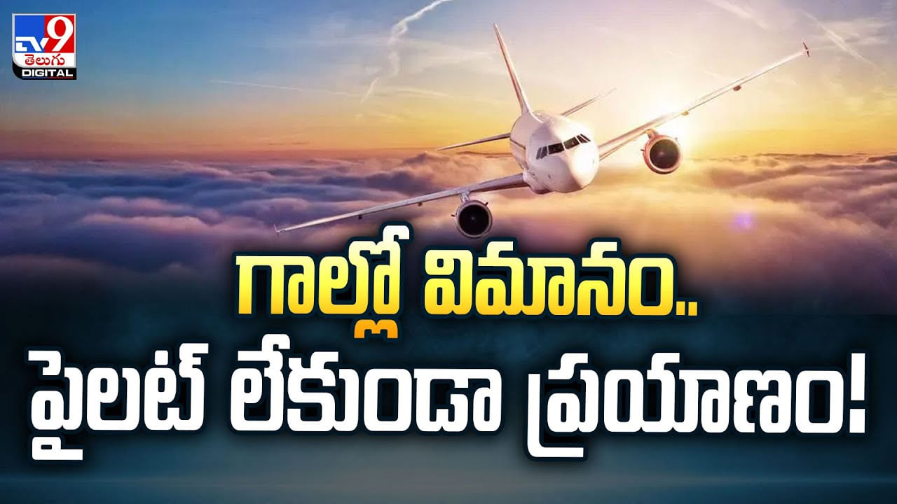 గాల్లో విమానం.. పైలట్‌ లేకుండా ప్రయాణం..